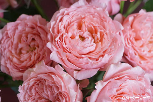 那些花上亿买豪宅的都是什么人,北京值得买的一套房