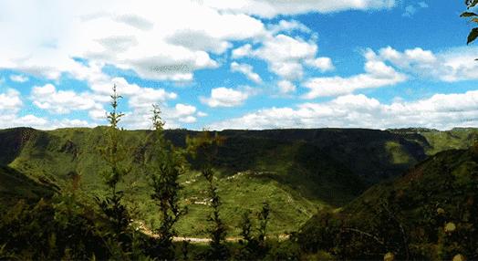 突尼斯石榴是不是都是爆汁的呢,好吃不吐籽的突尼斯软籽石榴来了