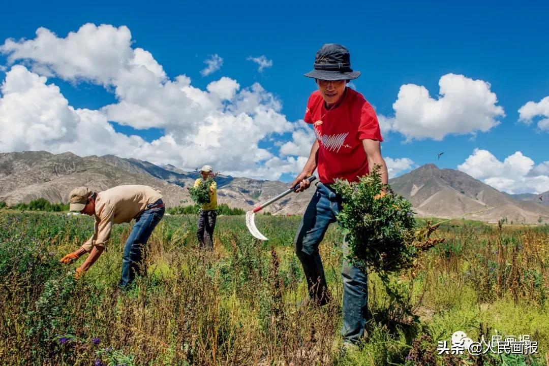 再难啃的硬骨头也要啃下来,最难啃的硬骨头
