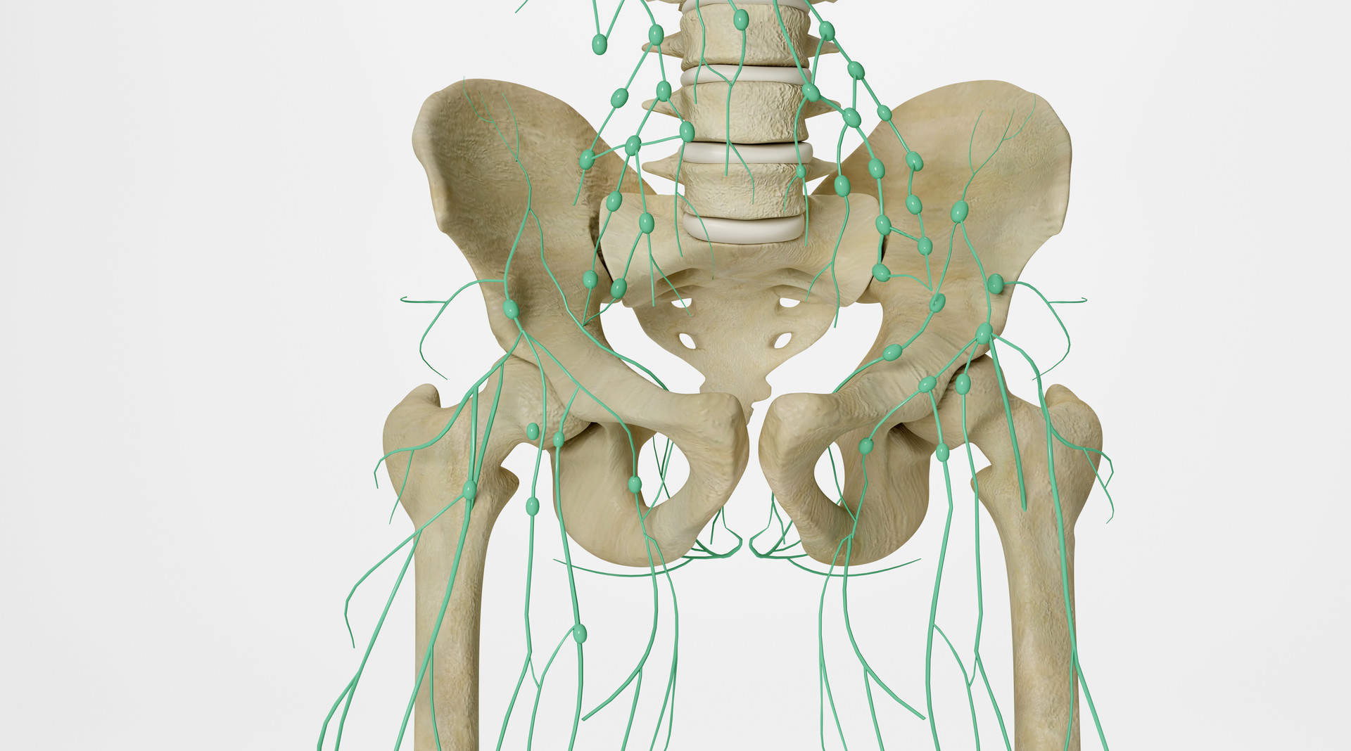 淋巴结肿大是癌细胞转移了怎么治,癌症转移到淋巴结用中药能消掉吗