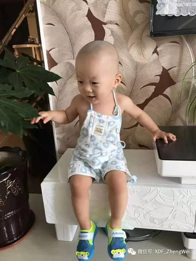 14个月宝宝英语指令,16个月宝宝学说英语