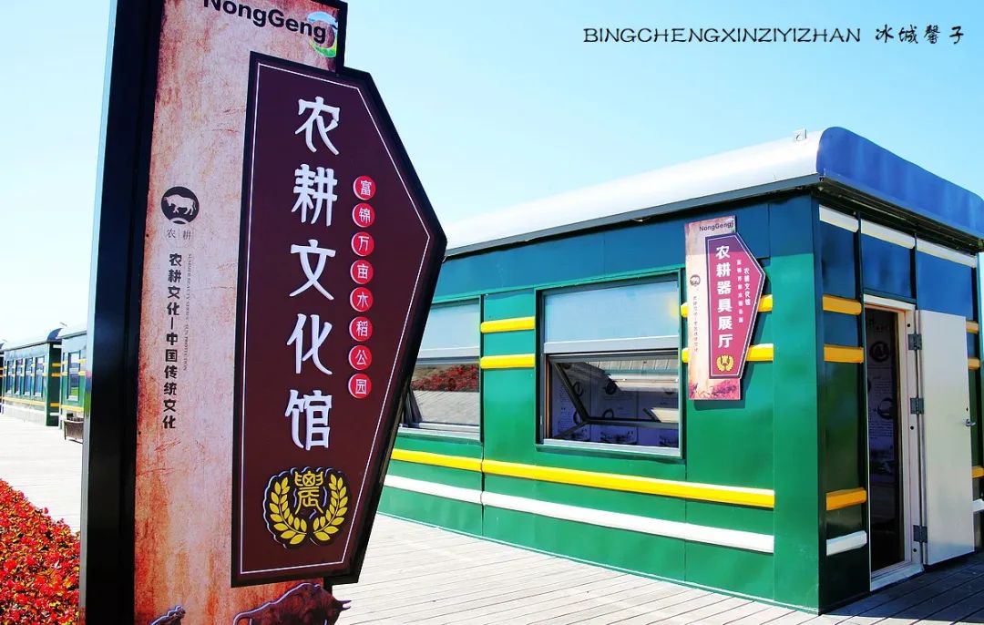 再返富锦，为着那份飘着稻花香的“湿”意约定