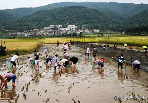 河里发洪水后为什么鱼多了,为什么洪水期鱼多