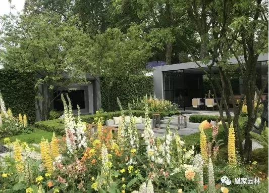 英国切尔西花展游学之旅分享—凰家园林学习沙龙会成功举行