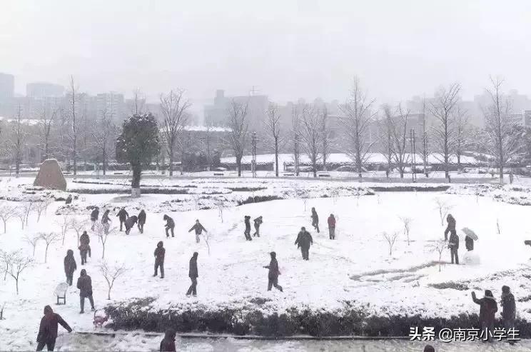 南京金陵中学高考成绩2020,江苏南京金陵中学