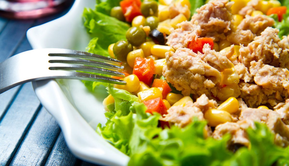 希腊美食攻略全部,希腊美食全集视频