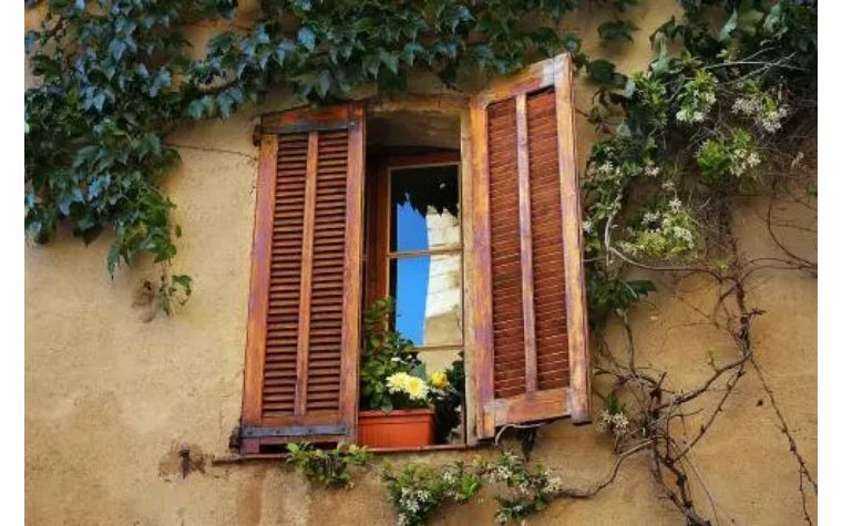 单身要交税的国家,单身要交税的国家有哪些