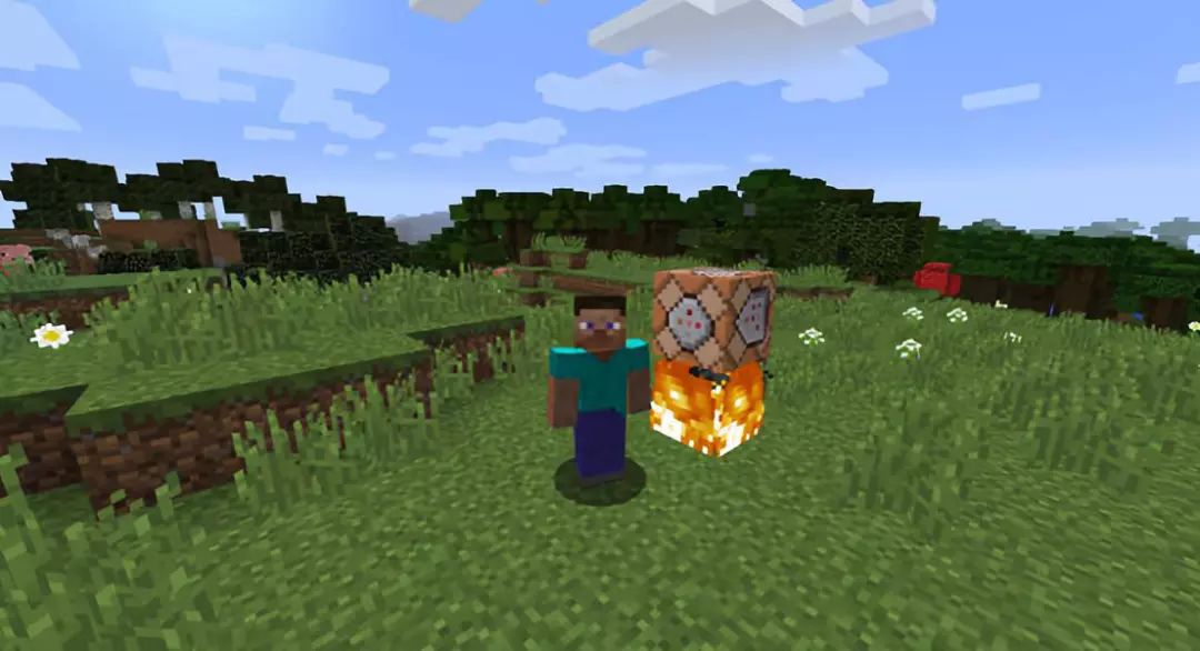 我的世界有哪些附魔食物,我的世界给村民吃什么食物