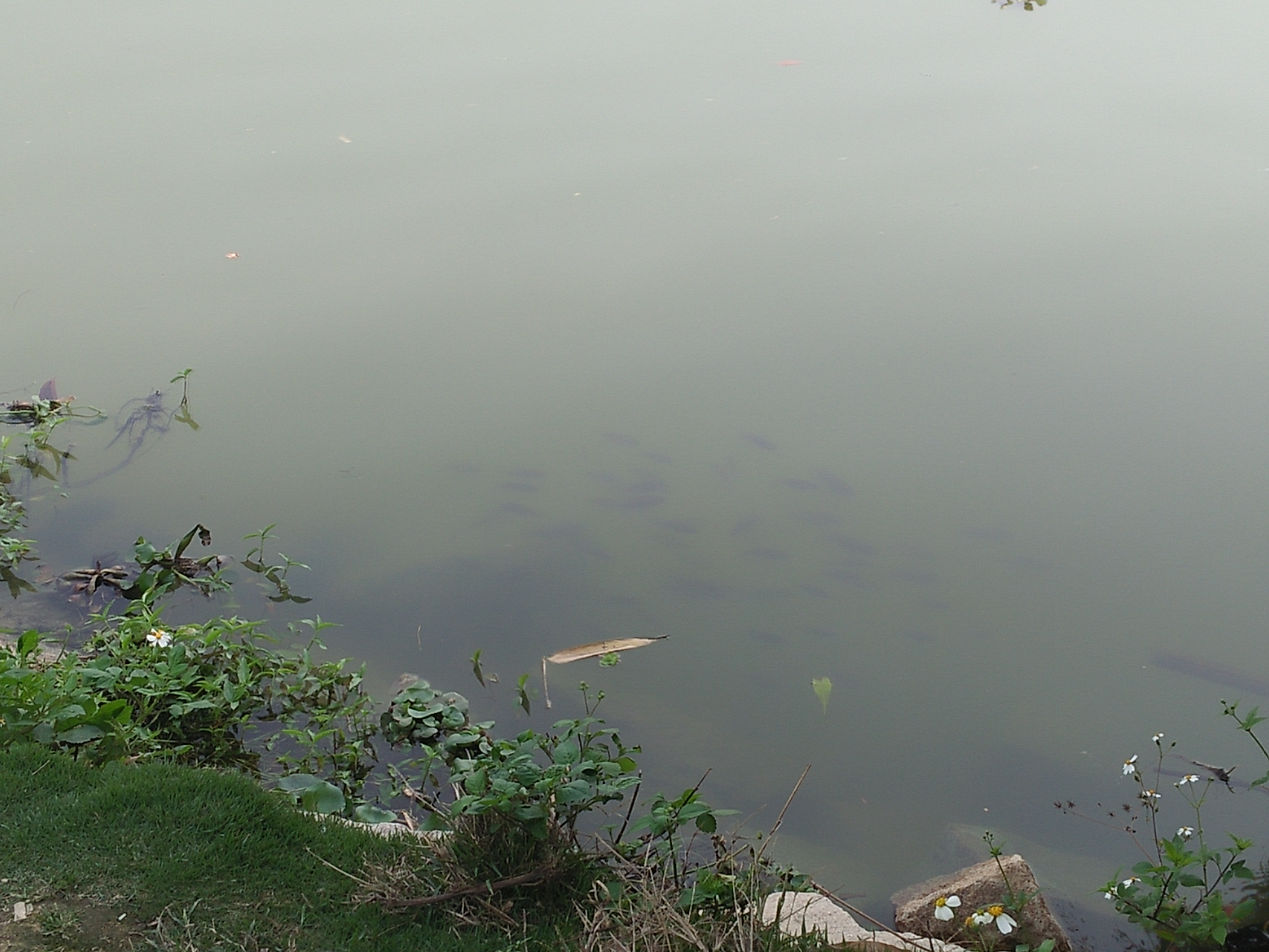 立春散文随笔,立春午后游记