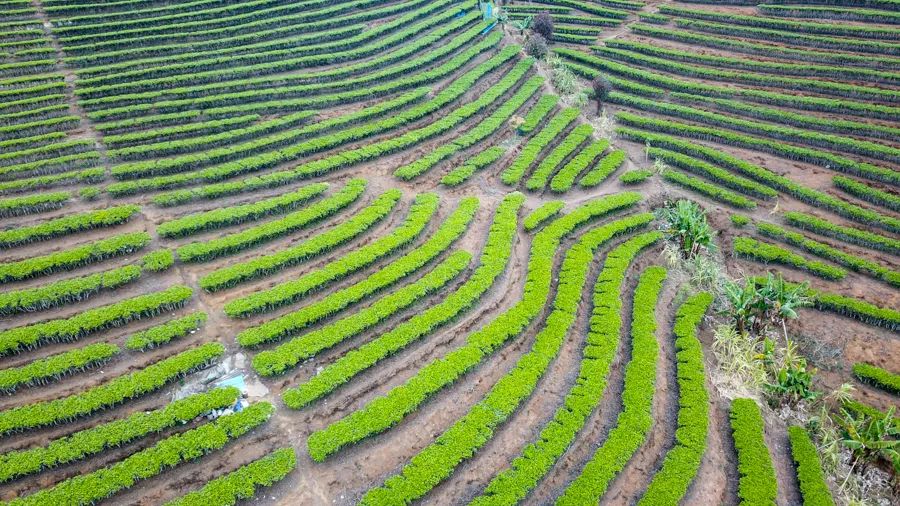 告庄西双景游玩多长时间,告庄西双景值得去吗