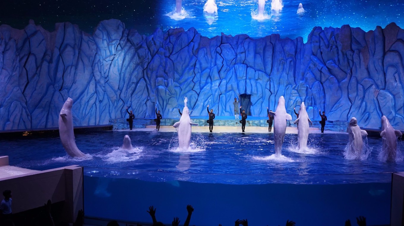 珠海长隆两日一晚游玩攻略,珠海长隆一日游攻略中餐