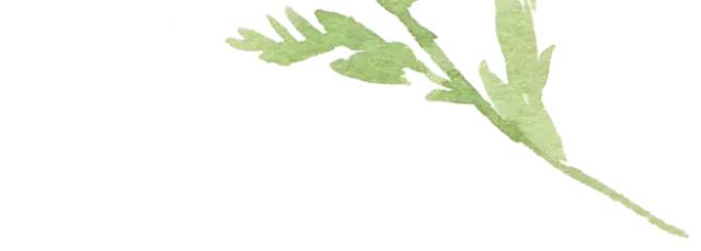 治疗牙痛的方法小妙招,牙痛用什么方法能缓解牙痛