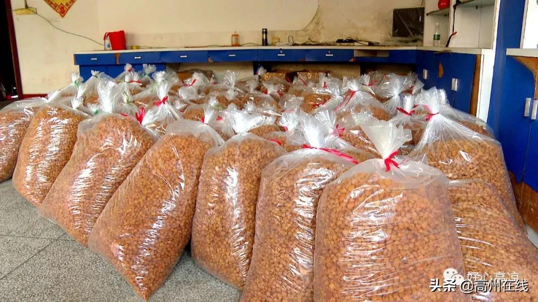 犀利！高州分界镇打造中国桂圆加工第一镇