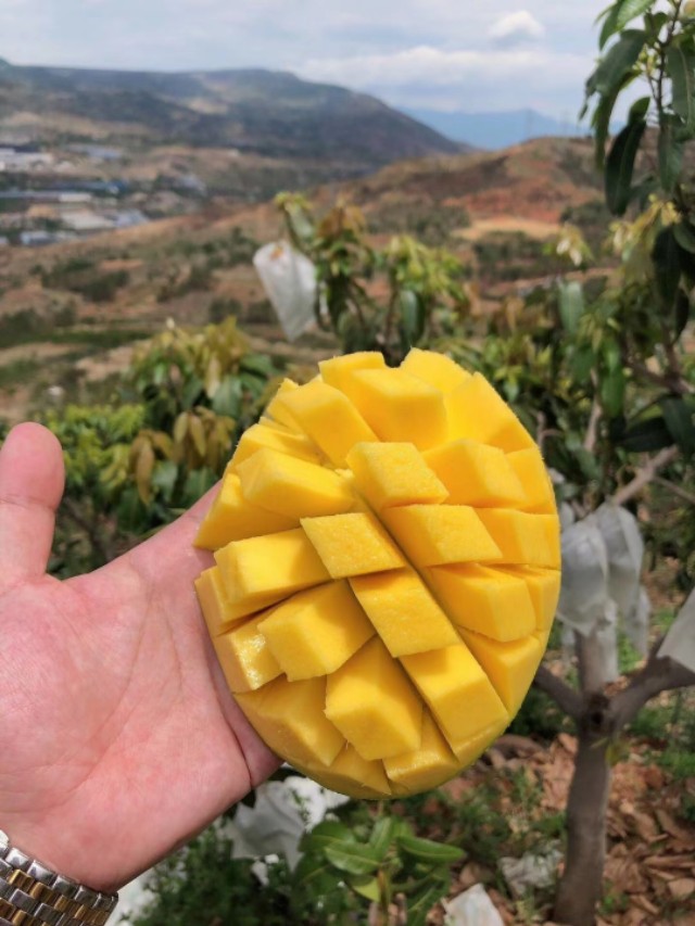 零食微商代理怎么做,微商零食代理好做吗