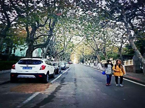 青岛八大关每个楼的故事,今天的青岛八大关