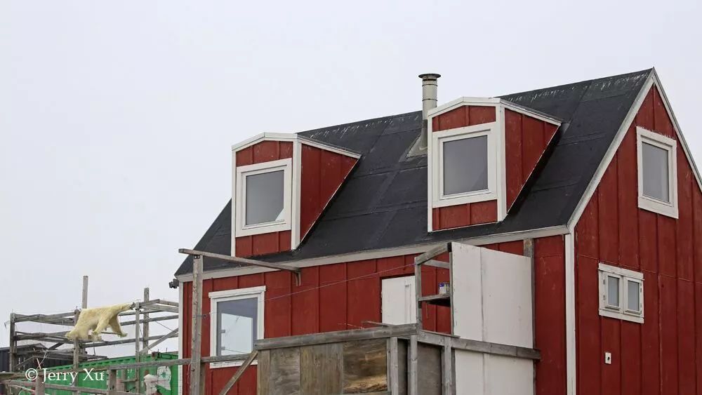 格陵兰的东海岸居然那么绚丽多彩，难怪特朗普想要买下来