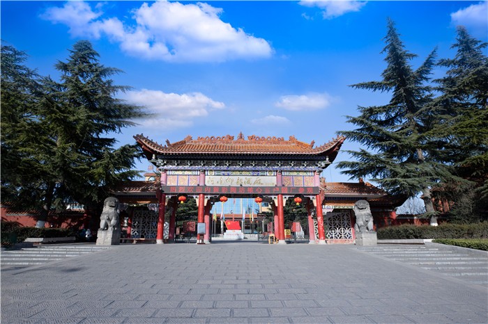 杜康白酒十大排名,仰韶杜康52度多少钱一瓶