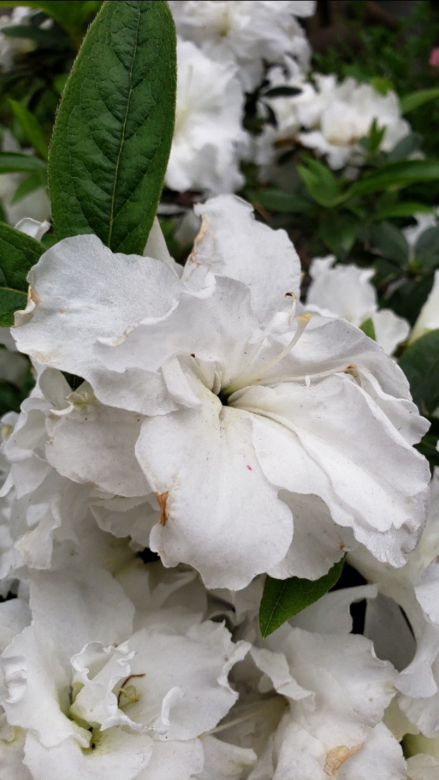 悠闲的时光惬意的生活,一个人的惬意时光诗词