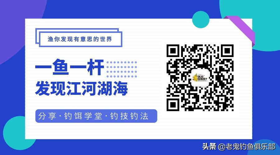 首试老鬼狂拉系列新品,作钓两小时狂口不断,势不可挡