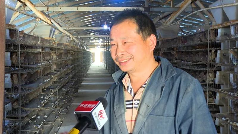 厉害了！武进竟隐藏着一位“大神”，练就了“瞎子”听鸟的本事~