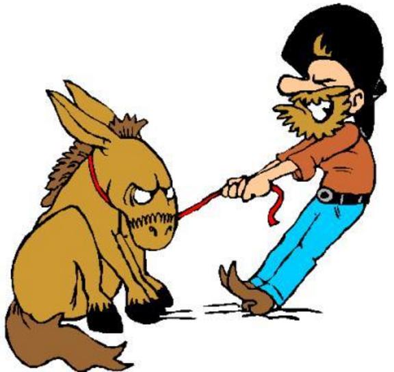 两岁小孩子特别犟应该怎么教育,孩子很犟父母怎么教育