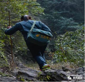 映日荷花别样红,映日牡丹别样红