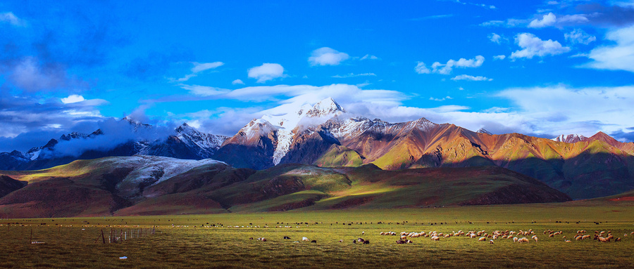 辛亥革命是中华民族伟大复兴征程,辛亥革命中华复兴的一座里程碑