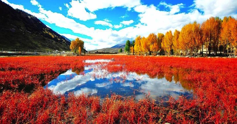 成都到稻城亚丁自驾路险峻么,成都到稻城亚丁路线攻略图