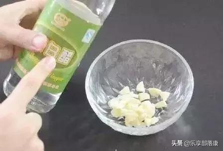 白醋泡大蒜最有效的方法,大蒜泡白醋的妙用小窍门