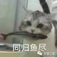 导游带团的神奇反应,导游带团时遇到的各种突发情况