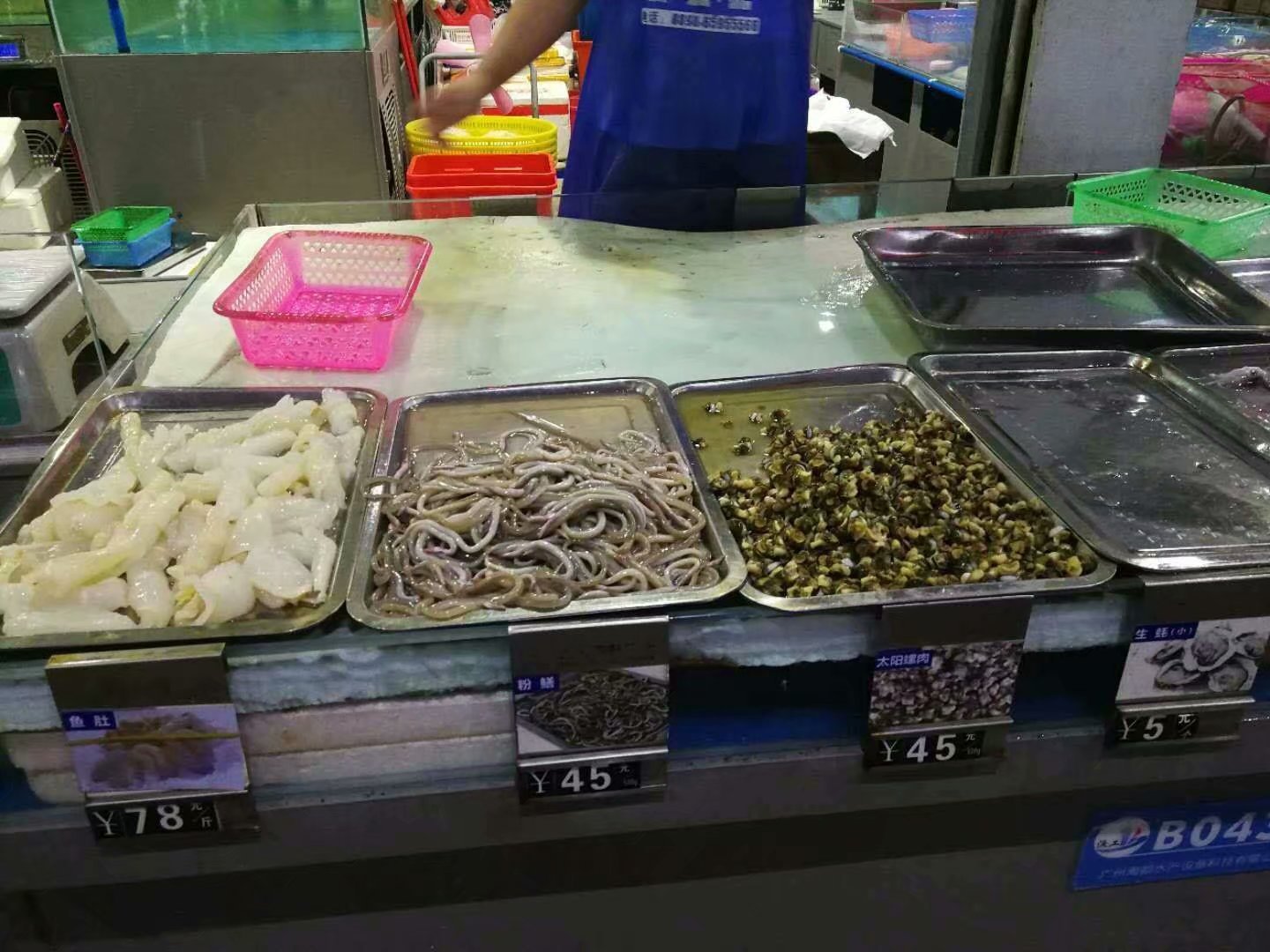 美丽椰城海口夜景,品味海口的韵味感受椰城的魅力