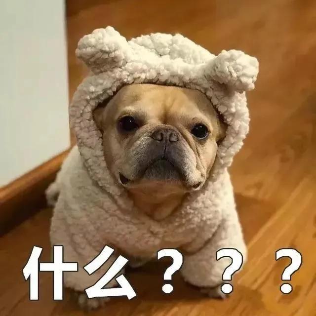 给狗起名字侵权吗,给狗起了一个字名字