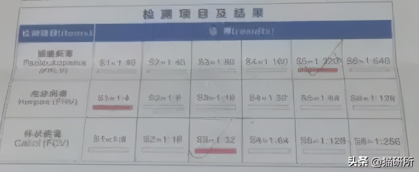 猫咪打了抗体会有什么症状表现,疫苗抗体多久检查一次