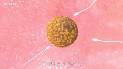 性教育的根本任务是什么,性教育要具体到什么程度