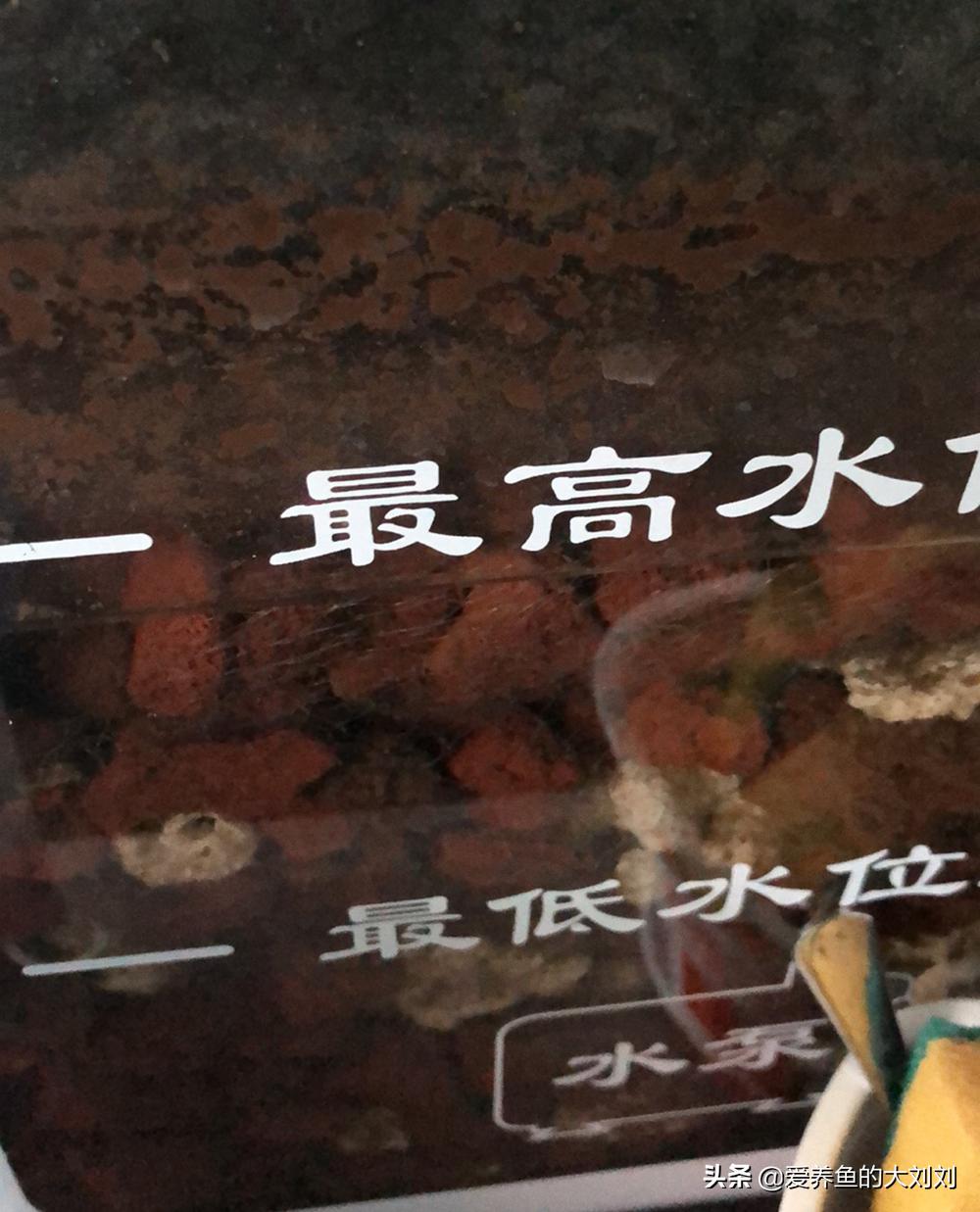 养鱼的滤材避坑,养鱼用的天然滤材