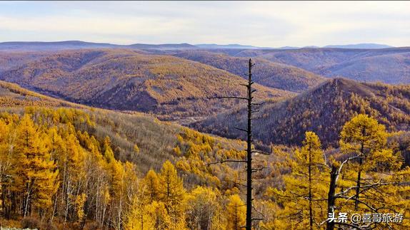 内蒙兴安旅游攻略必去景点,内蒙古兴安盟旅游攻略