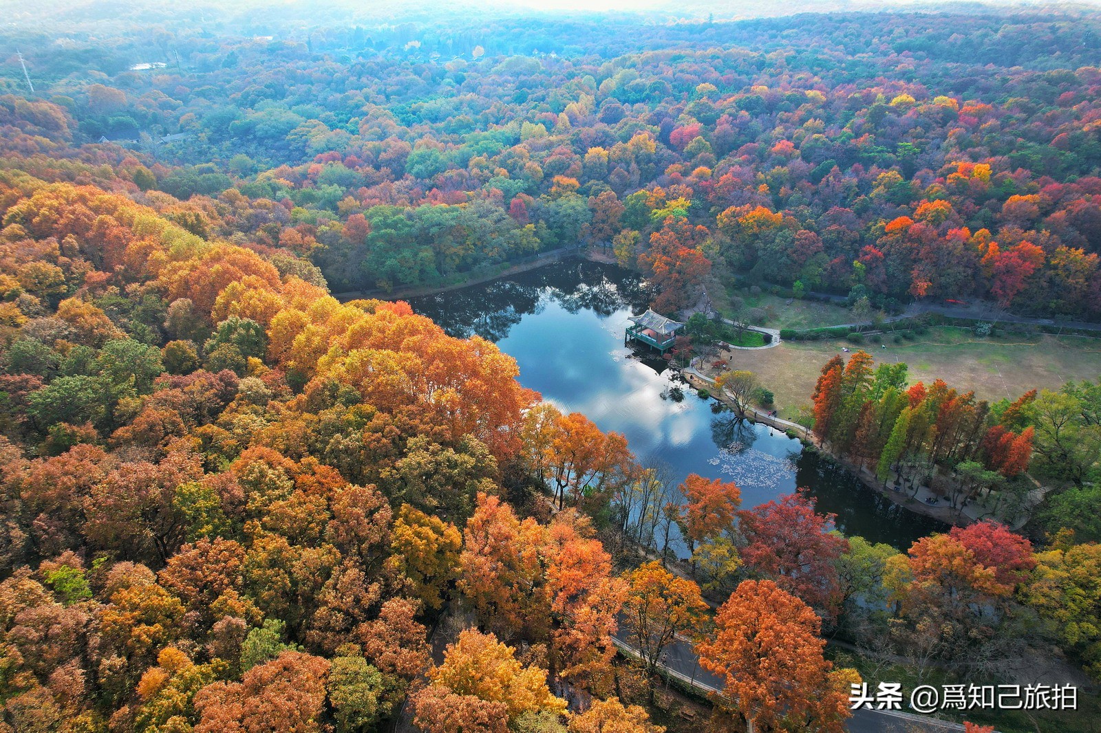 美在金陵文艺大咖秀,美在金陵梁梅