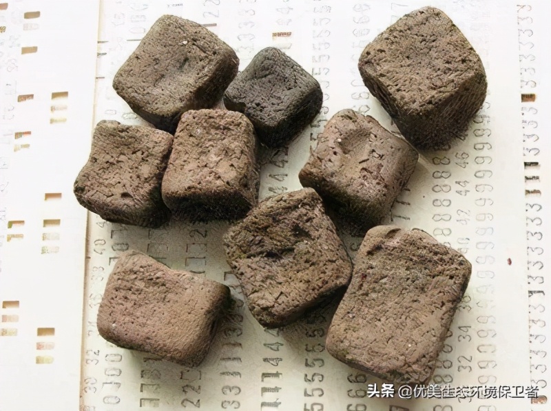 树袋熊慢动作,树袋熊也叫树懒么