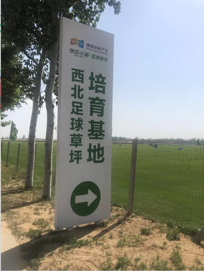 渭南建设专业足球场,渭南体育中心足球场