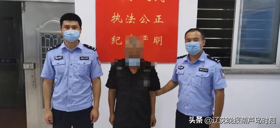 葫芦岛新闻今天,葫芦岛今日新闻日报