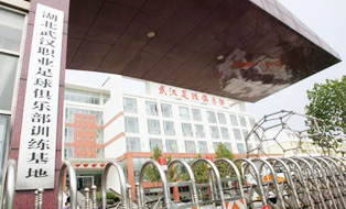 中国足球是哪一年退赛的,武汉公开赛哪些球员退赛