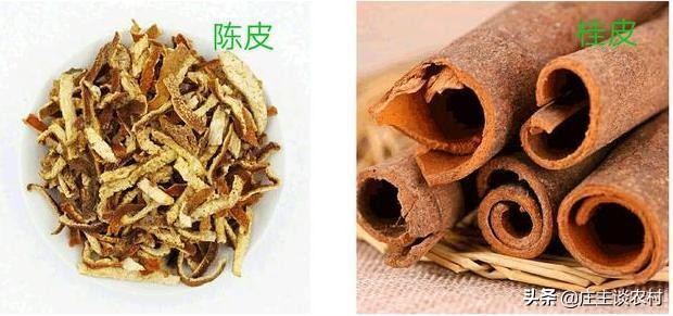 香料的正确使用方法和注意事项,卤水加桂皮的正确方法