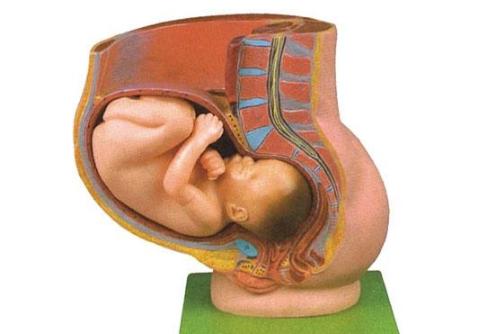 分娩过程是否顺利主要取决于,想要分娩顺利临产前要注意几点