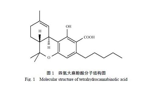 潘多拉的盒子黄油,潘多拉及潘多拉的盒子