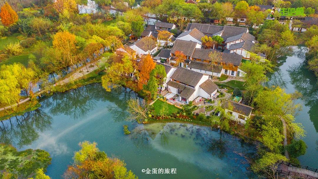 旅行达人都有哪些,高颜值旅行达人