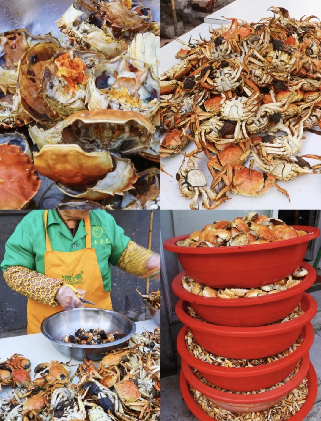 生活在南京的真实感受,南京适合生活嘛