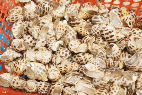 南通启东海边度假酒店,启东恒大海上威尼斯度假酒店