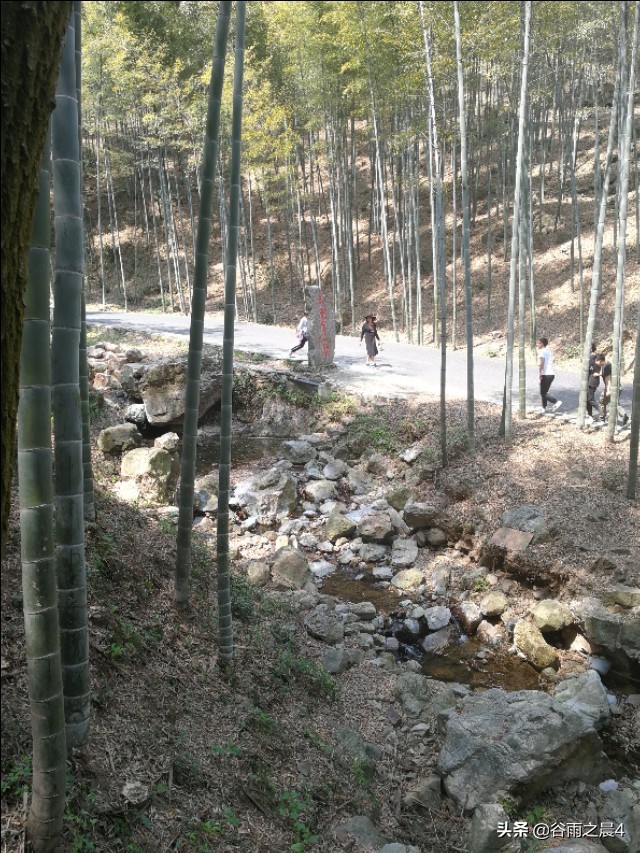 宜兴竹海徒步路线推荐,宜兴竹海最高海拔多少