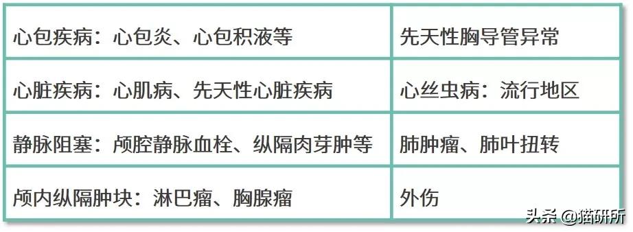 猫脓胸和乳糜胸鉴别诊断,猫得乳糜胸会好吗