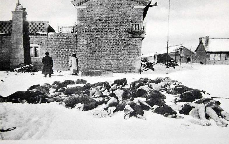 鼠疫害怕什么东西,以前人们所说的鼠疫是怎样的